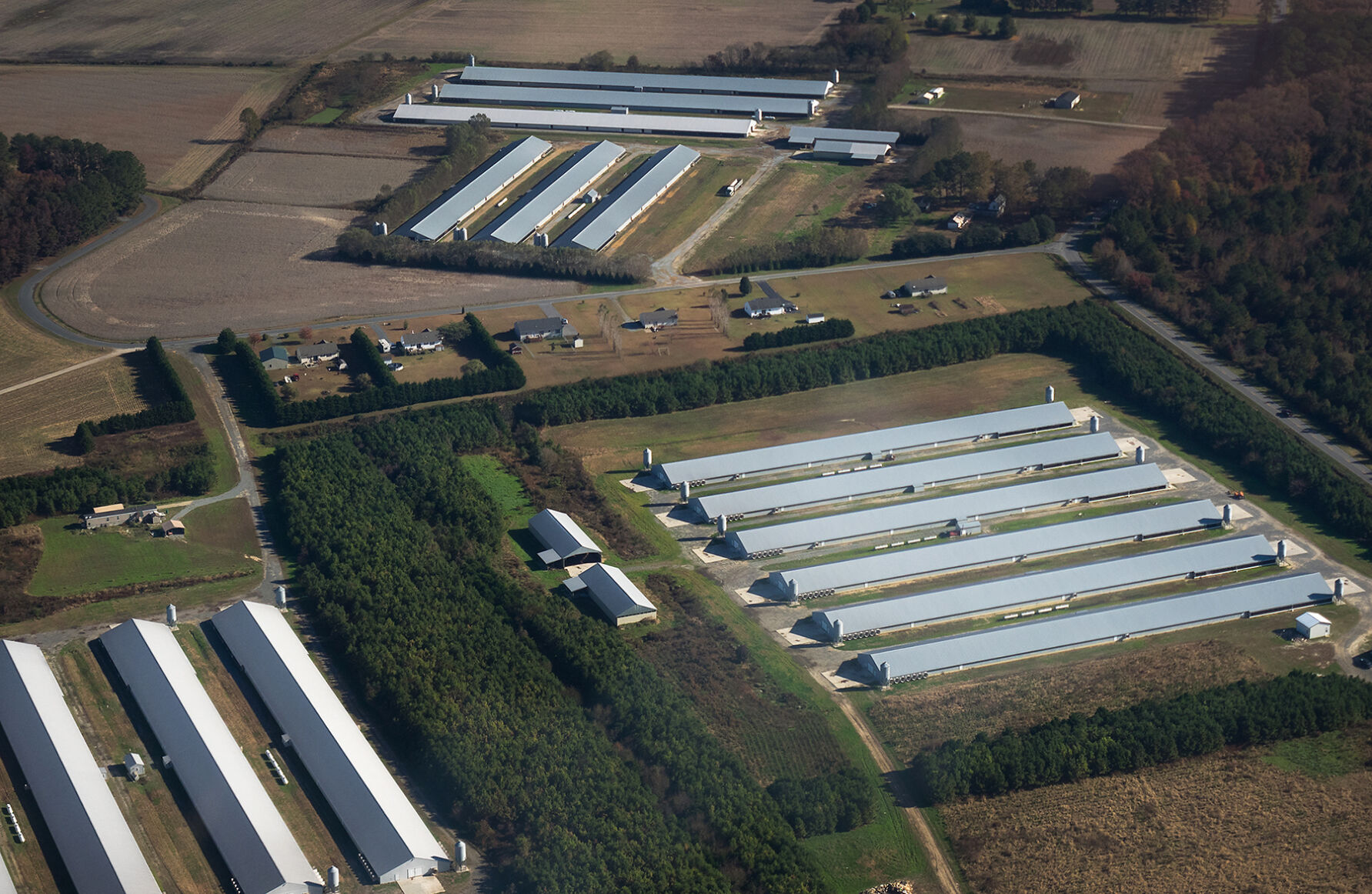 Aerial view of chicken houses